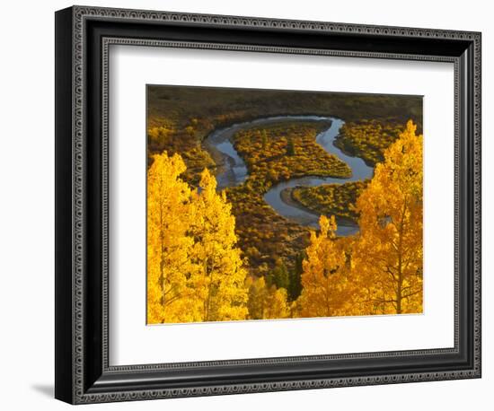 Gunnison National Forest, Colorado, USA-Cathy & Gordon Illg-Framed Photographic Print