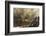 Gunung Agung Mountain, the Summit-Christoph Mohr-Framed Photographic Print