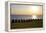 Gurnard Beach, Gurnard, Isle of Wight, England, United Kingdom, Europe-Neil Farrin-Framed Premier Image Canvas