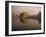 Guru's Bridge over the Pool of Nectar, Leading to the Golden Temple of Amritsar, Punjab, India-Jeremy Bright-Framed Photographic Print