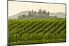 Gussago, Franciacorta, Lombardy, Italy. Vineyards.-Marco Bottigelli-Mounted Photographic Print