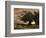 Gust of Wind, 1866-Jean-Baptiste-Camille Corot-Framed Giclee Print