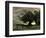 Gust of Wind-Jean-Baptiste-Camille Corot-Framed Art Print