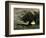 Gust of Wind-Jean-Baptiste-Camille Corot-Framed Art Print