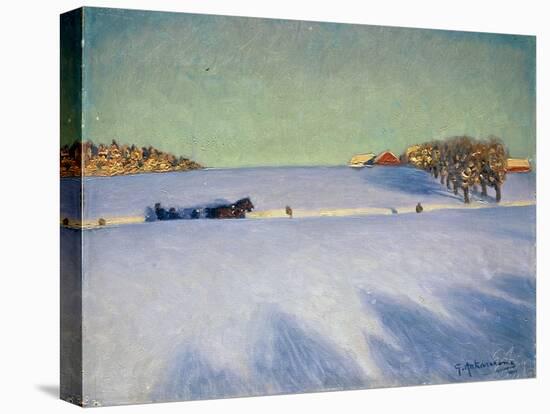 Stretched Canvas Print, , large