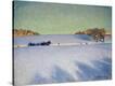Stretched Canvas Print