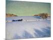 Giclee Print
