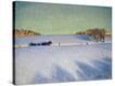 Stretched Canvas Print