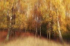 Autumn Impression-Gustav Davidsson-Photographic Print
