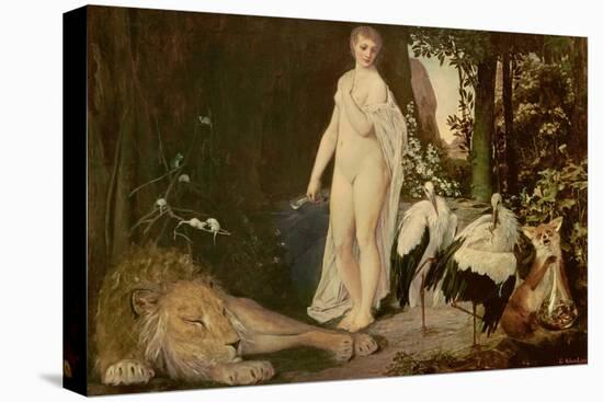 Stretched Canvas Print, , large