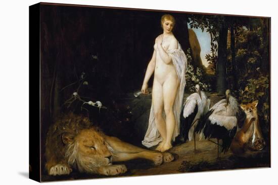 Stretched Canvas Print, , large
