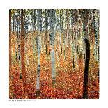 Tannenwald (Pine Forest), 1902-Gustav Klimt-Photographic Print