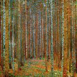 Birch Forest, c.1903-Gustav Klimt-Premium Giclee Print