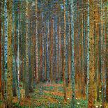 Tannenwald (Pine Forest), c.1902-Gustav Klimt-Art Print
