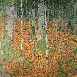 Tannenwald (Pine Forest), c.1902-Gustav Klimt-Art Print