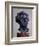 Gustav Mahler, 1909-Auguste Rodin-Framed Giclee Print