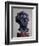 Gustav Mahler, 1909-Auguste Rodin-Framed Giclee Print