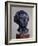 Gustav Mahler, 1909-Auguste Rodin-Framed Giclee Print