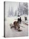 Stretched Canvas Print
