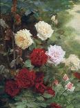 Roses-Gustave Bienvetu-Giclee Print