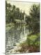 Giclee Print