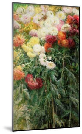 Beautiful Gustave Caillebotte Botanical Artwork For Sale