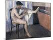 Premium Giclee Print