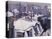 Stretched Canvas Print