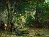 Deer Reserve at Plaisir Fontaine, 1866-Gustave Courbet-Giclee Print