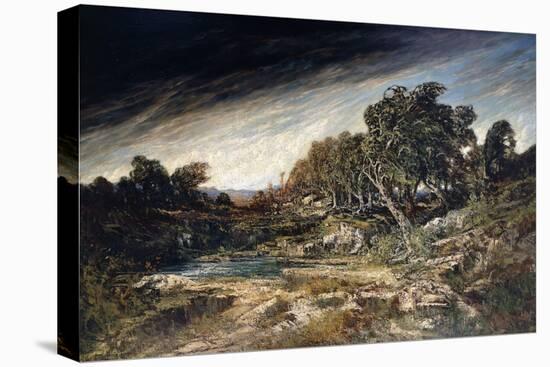 Stretched Canvas Print, , large