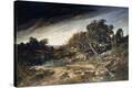 Stretched Canvas Print