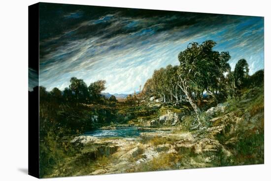 Stretched Canvas Print, , large