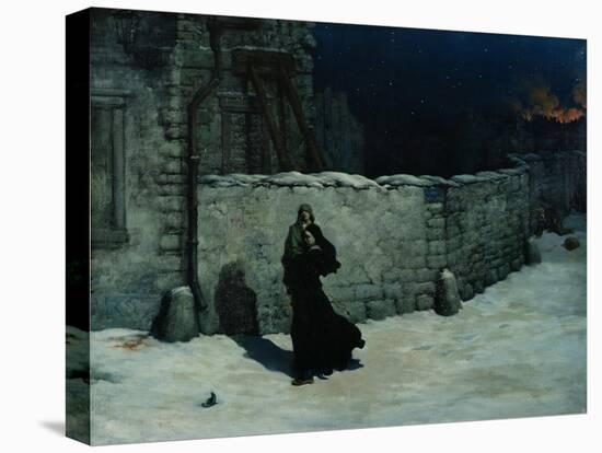 Stretched Canvas Print, , large