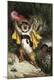 Premium Giclee Print