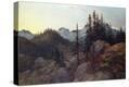 Stretched Canvas Print