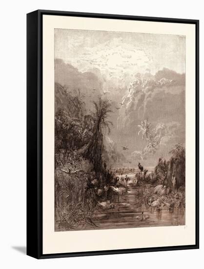 Stretched Canvas Print, , large
