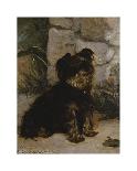 Portrait Of A Yorkshire Terrier-Gustave Giradot-Mounted Premium Giclee Print