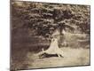 Photographic Print