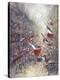 Stretched Canvas Print