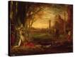 Stretched Canvas Print