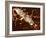 Gut Bacterium Reproducing, TEM-Hazel Appleton-Framed Photographic Print