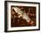 Gut Bacterium Reproducing, TEM-Hazel Appleton-Framed Photographic Print