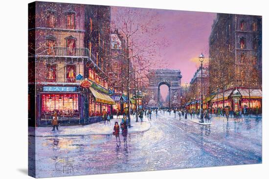 Stretched Canvas Print, , large