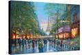 Stretched Canvas Print