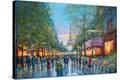 Stretched Canvas Print