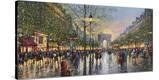 Stretched Canvas Print