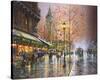 Stretched Canvas Print