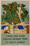 Loading the Oranges at Cape Town, from the Series 'Summer's Oranges from South Africa'-Guy Kortright-Framed Giclee Print