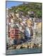 Premium Photographic Print