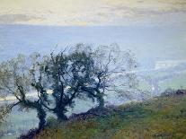 Incoming Fog, la Jolla-Guy Rose-Framed Premier Image Canvas